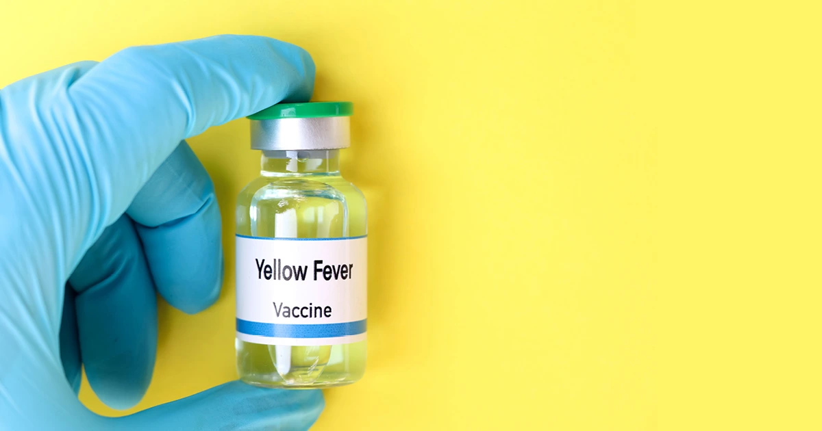 Yellow fever vaccine vial with gloved hands